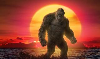 哥斯拉大战金刚抢先看 哥斯拉大战金刚抢先看